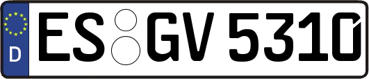 ES-GV5310