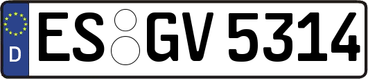 ES-GV5314