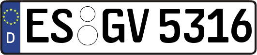 ES-GV5316