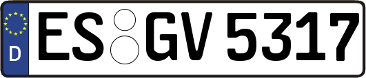 ES-GV5317