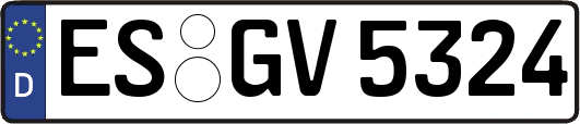 ES-GV5324