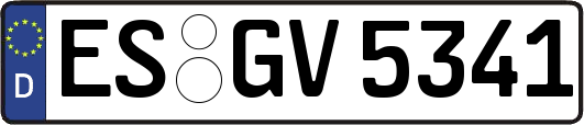 ES-GV5341