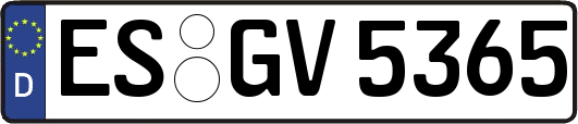 ES-GV5365