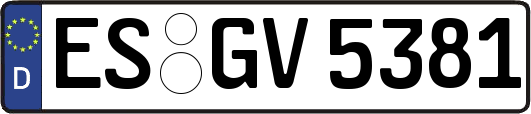 ES-GV5381