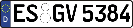 ES-GV5384