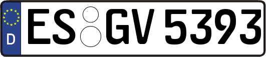 ES-GV5393