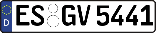 ES-GV5441