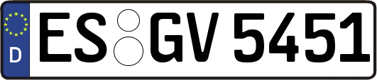 ES-GV5451