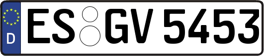 ES-GV5453