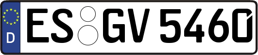 ES-GV5460