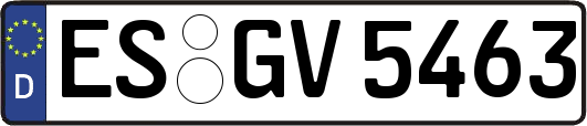 ES-GV5463