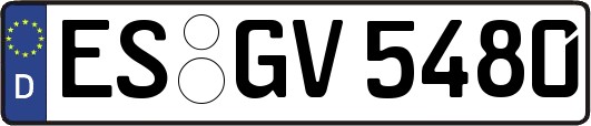ES-GV5480