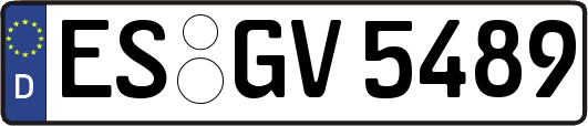 ES-GV5489