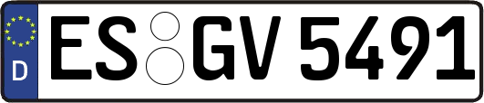 ES-GV5491