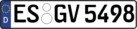 ES-GV5498