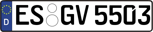 ES-GV5503