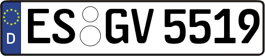ES-GV5519
