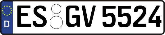 ES-GV5524