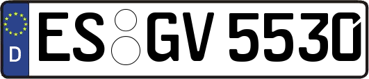 ES-GV5530