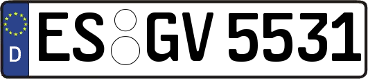 ES-GV5531