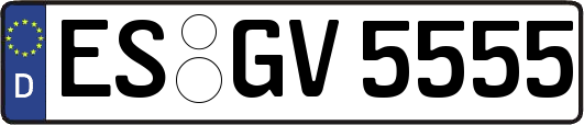 ES-GV5555