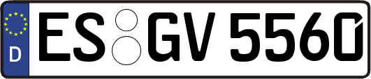 ES-GV5560