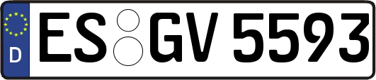 ES-GV5593