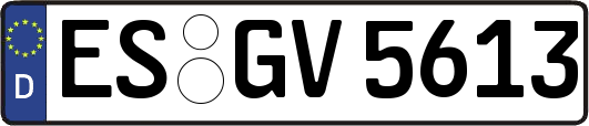 ES-GV5613