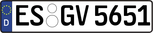 ES-GV5651