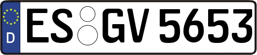 ES-GV5653