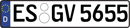 ES-GV5655