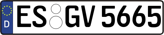 ES-GV5665