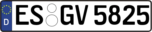 ES-GV5825