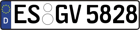 ES-GV5828
