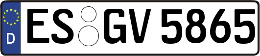 ES-GV5865