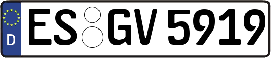 ES-GV5919