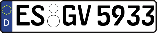 ES-GV5933