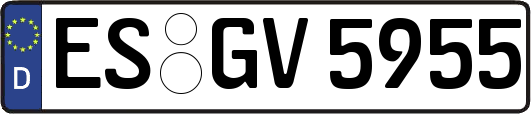 ES-GV5955