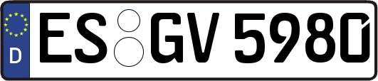 ES-GV5980