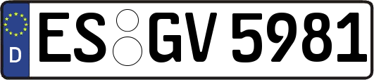 ES-GV5981