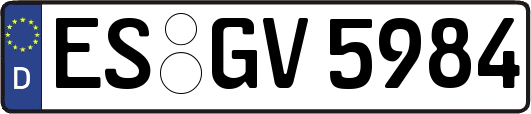 ES-GV5984