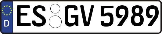 ES-GV5989