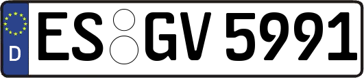 ES-GV5991