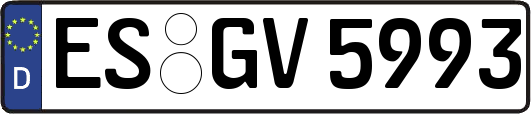 ES-GV5993