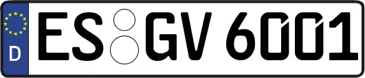 ES-GV6001