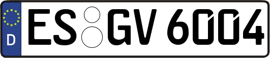 ES-GV6004