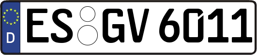 ES-GV6011