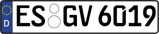 ES-GV6019