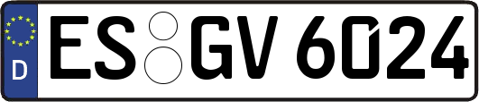 ES-GV6024