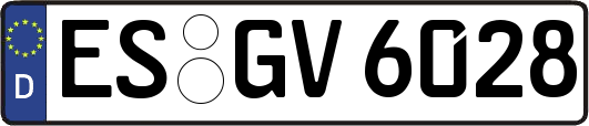 ES-GV6028